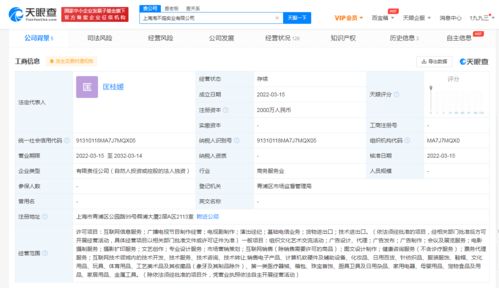 張庭夫婦投資成立實業公司