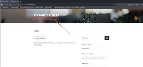 網絡滲透測試實驗四 ctf實踐 webdeveloper靶機滲透